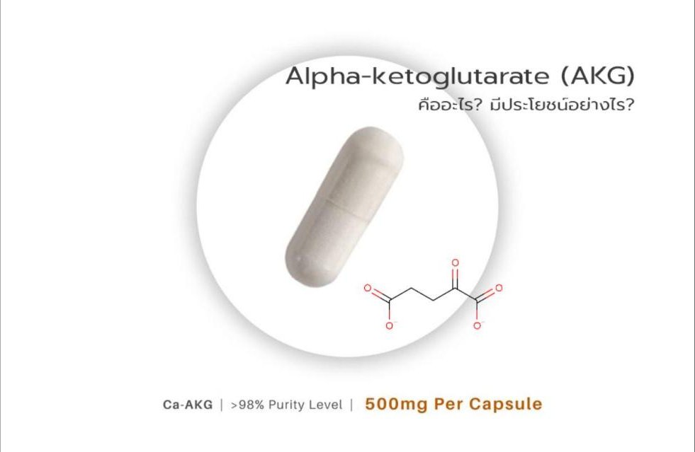 Alpha-ketoglutarate (AKG) คืออะไร? ... มีประโยชน์อย่างไร?