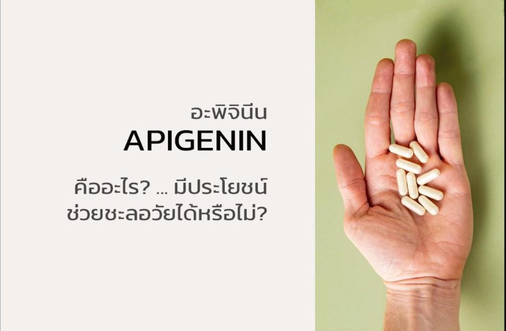 อะพิจินีน (APIGENIN) คืออะไร? ... มีประโยชน์ช่วยชะลอวัยหรือไม่?