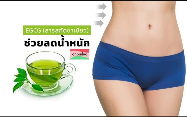 EGCG (สารสกัดชาเขียว) ช่วยลดน้ำหนัก