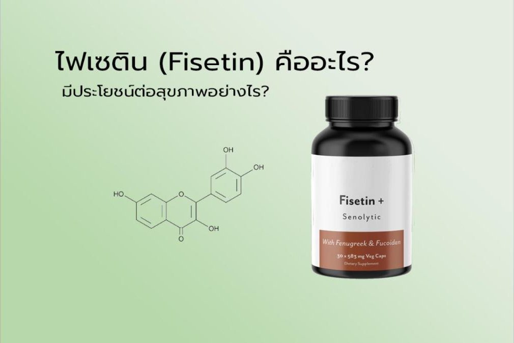 ไฟเซติน (Fisetin) คืออะไร? มีประโยชน์ต่อสุขภาพอย่างไร?