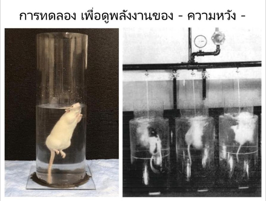 พลังของความหวัง - HOPE!