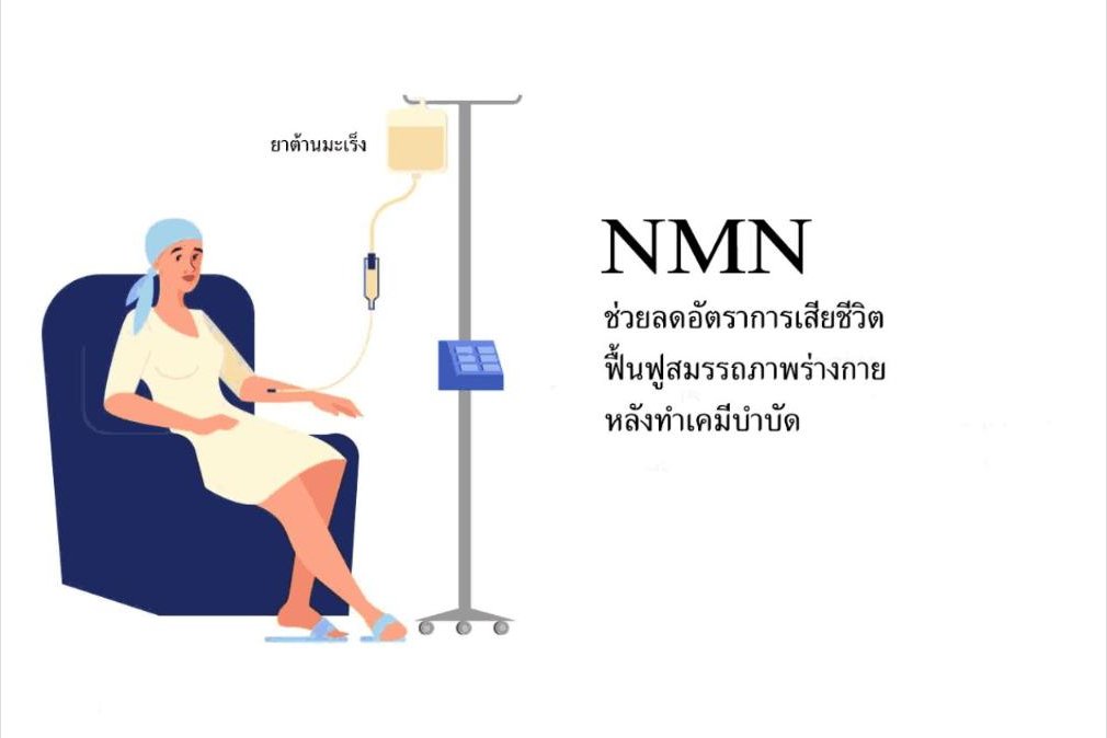 NMN ช่วยลดอัตราการเสียชีวิตและฟื้นฟูสมรรถภาพร่างกายหลังการทำเคมีบำบัด