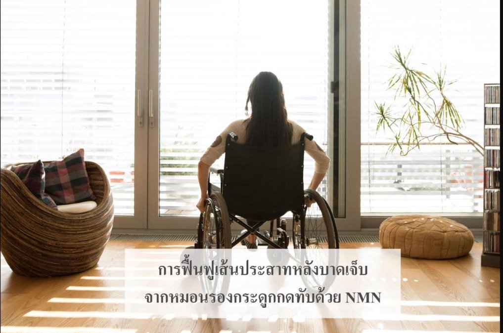 การฟื้นฟูเส้นประสาทหลังบาดเจ็บจากหมอนรองกระดูกกดทับด้วย NMN