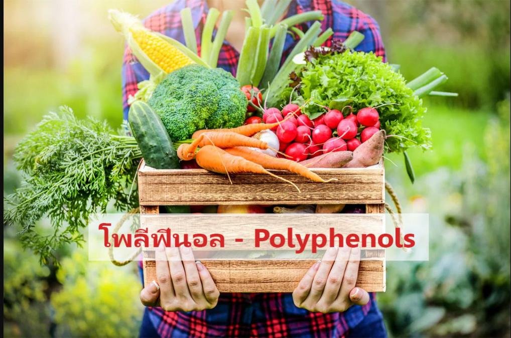 อาหารที่มีสารโพลีฟีนอล (Polyphenols) สูง และมีความสำคัญอย่างไร?