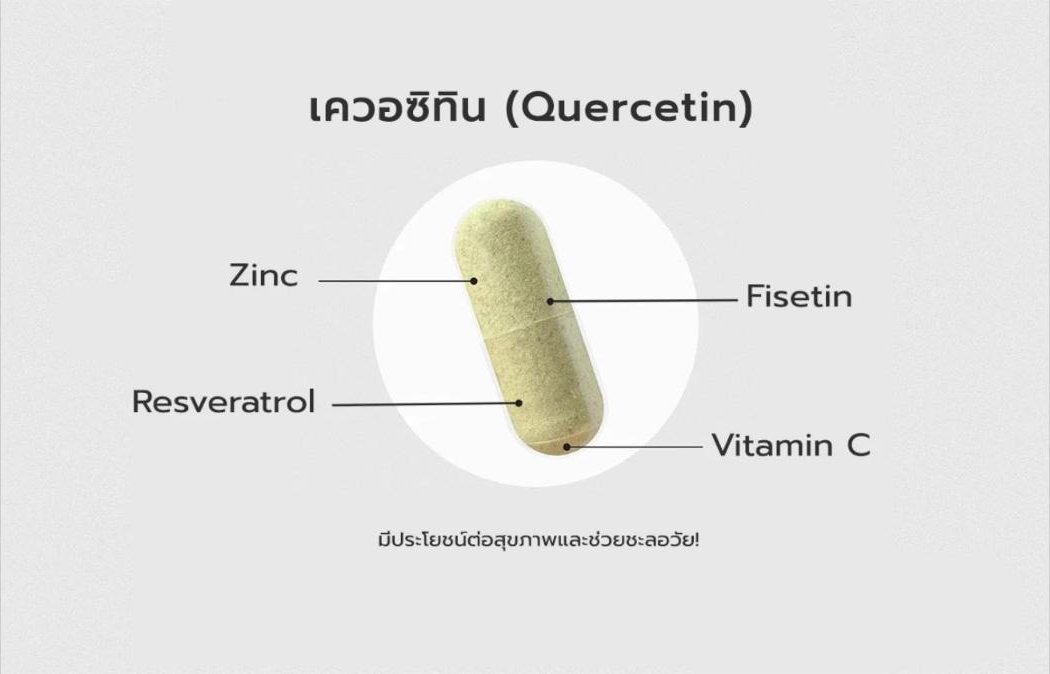เควอซิทิน (Quercetin) มีประโยชน์ต่อสุขภาพและช่วยชะลอวัย!