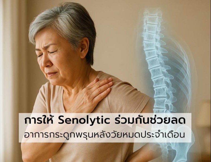 การให้ Senolytic ร่วมกันช่วยลดอาการกระดูกพรุนหลังวัยหมดประจำเดือนและส่งเสริมการสร้างกระดูกใหม่