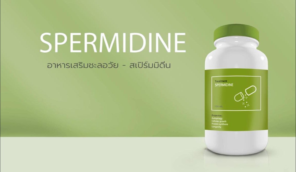 อาหารเสริมชะลอวัย - สเปิร์มมิดีน (Spermidine)