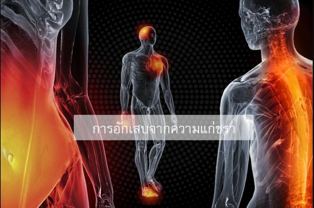 ทำไมเราถึงแก่ชรา? (ตอนที่ 11/12) ... การอักเสบจากความแก่ชรา (Inflammaging)