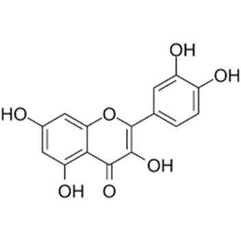 Senolytic agent: Quercetin