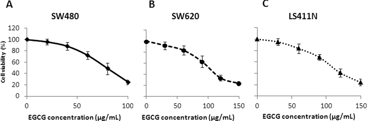 EGCG ยับยั้งมะเร็งลำไส้ใหญ่ - การเติบโต